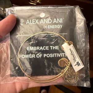Sorcerer Mickey Alex and Ani 2014 Bangle with 2014 Pin